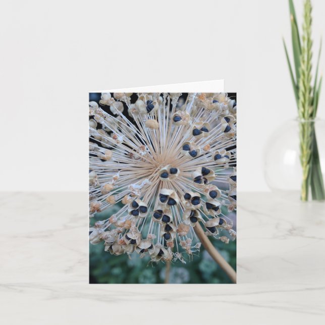 Seed Pod Explosion Blank Card (Front)