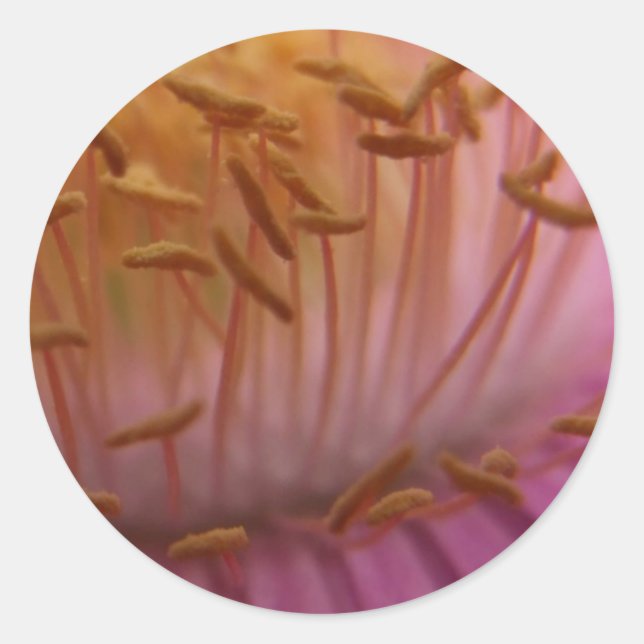 Seed Stickers (Front)