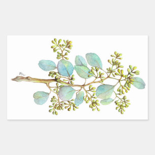 Seeded Eucalyptus 01 Rectangular Sticker