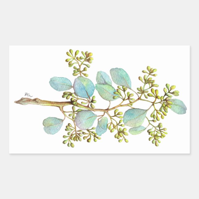 Seeded Eucalyptus 01 Rectangular Sticker (Front)