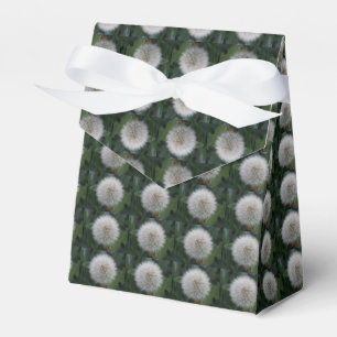 Seeding Dandelion Flower Favour Box