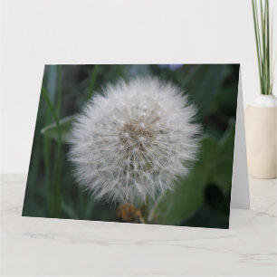 Seeding Dandelion Flower Giant Greeting Card