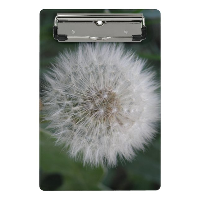Seeding Dandelion Flower Mini Clipboard (Front)