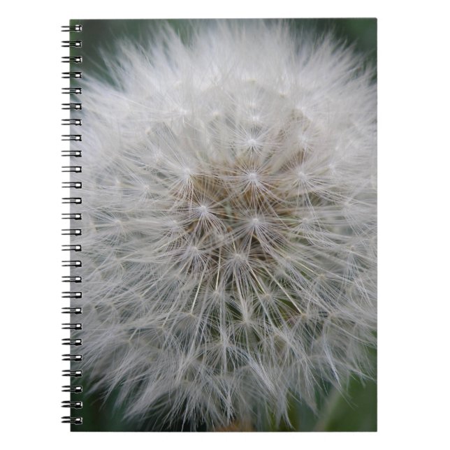 Seeding Dandelion Flower Notebook (Front)
