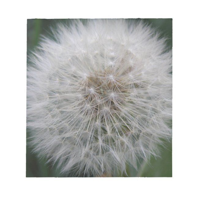 Seeding Dandelion Flower Notepad (Front)