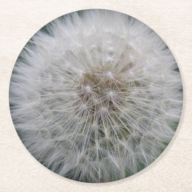 Seeding Dandelion Flower Paper Coasters (Front)
