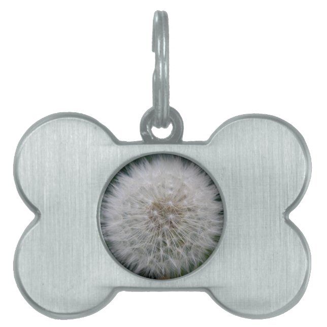 Seeding Dandelion Flower Pet Tag (Front)