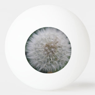 Seeding Dandelion Flower Ping Pong Ball