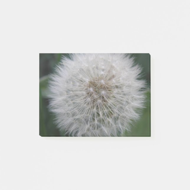 Seeding Dandelion Flower Post it notes Pad (Front)