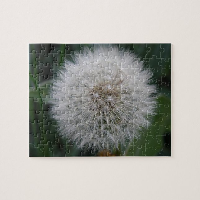 Seeding Dandelion Flower Puzzle (Horizontal)
