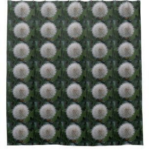 Seeding Dandelion Flower Shower Curtain