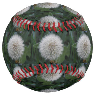 Seeding Dandelion Flower Softball