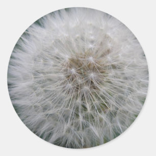 Seeding Dandelion Flower Stickers