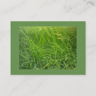 Seeding Fescue Landscaping Business Card