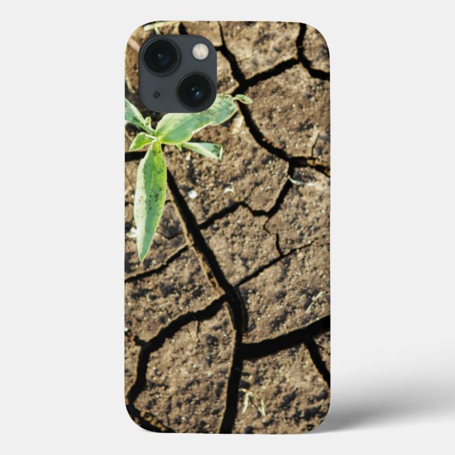 Seedling In Cracked Earth Case-Mate iPhone Case (Back)