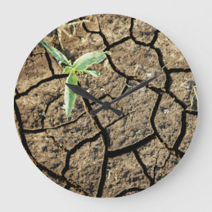 Seedling In Cracked Earth Large Clock