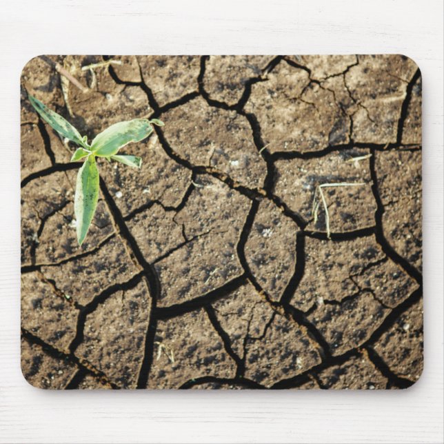 Seedling In Cracked Earth Mouse Pad (Front)
