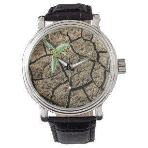 Seedling In Cracked Earth Watch