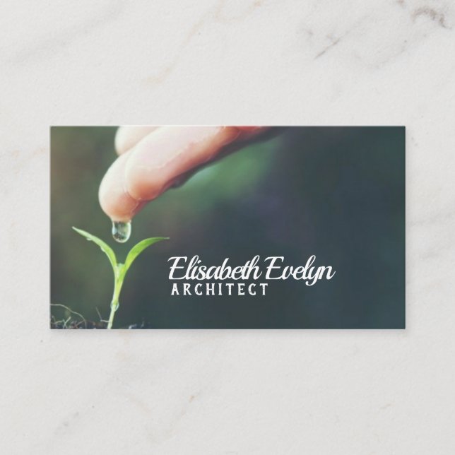 Seedling new baby forest spring business card (Front)
