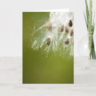 Seeds Greeting Card