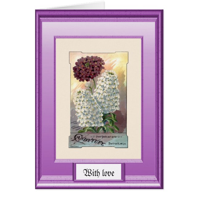 Seeds of the past, Purple and white (Front)