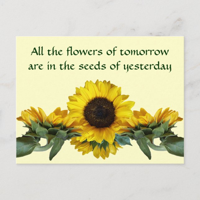 Seeds of Yesterday Postcard (Front)