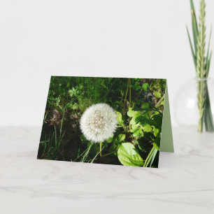 Seeds Ready to Fly Card