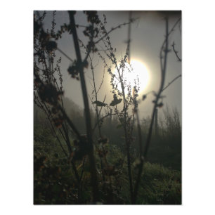 Seeing big in small photo print