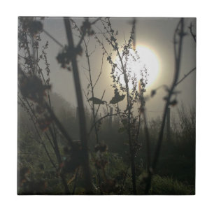 Seeing big in small photo print ceramic tile