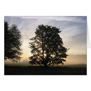 Seeing both sides card