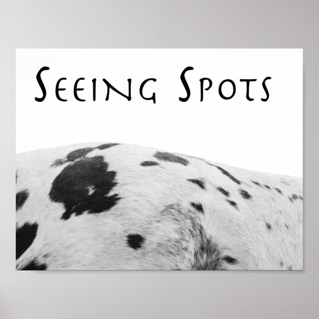 Seeing Spots Poster (Front)