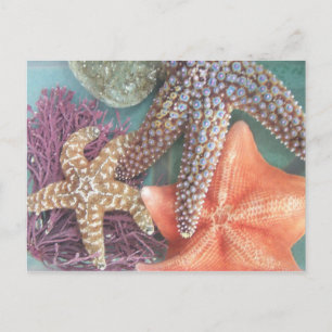 SEEING STARS POSTCARD