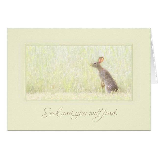 Seek and Find (Front Horizontal)