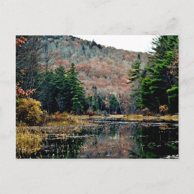 Seek and Find Postcard (Front)