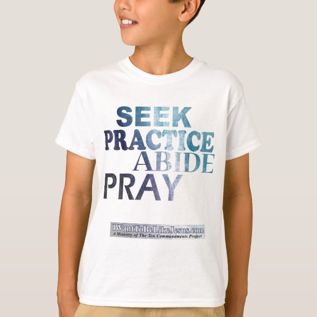 Seek-Practice-Abide-Pray Youth Teeshirt T-Shirt (Front)