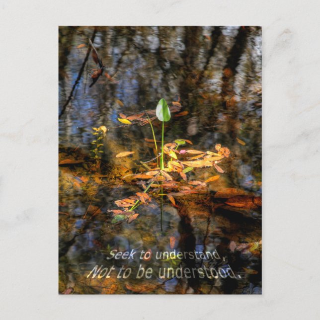 Seek to Understand, Not to be Understood Postcard (Front)
