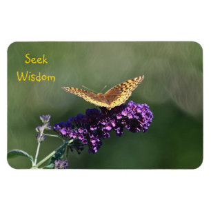 Seek Wisdom Butterfly Magnet