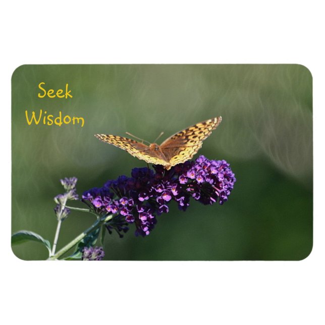 Seek Wisdom Butterfly Magnet (Horizontal)