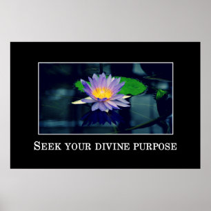Seek your divine purpose poster