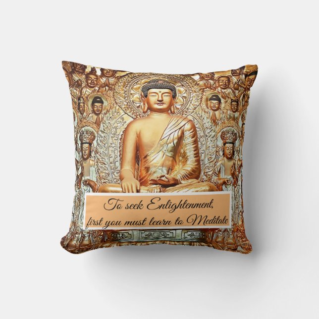 Seeking enlightenment cushion (Front)
