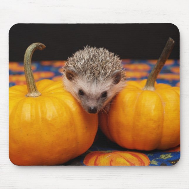 Seeking the Great Pumpkin Mouse Pad (Front)
