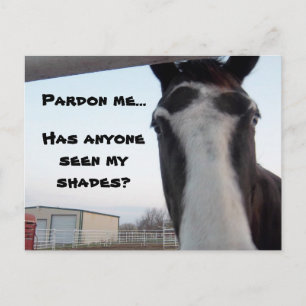 Seen My Shades? Postcard