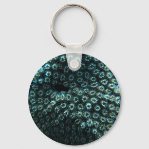 Seepocken Key Ring