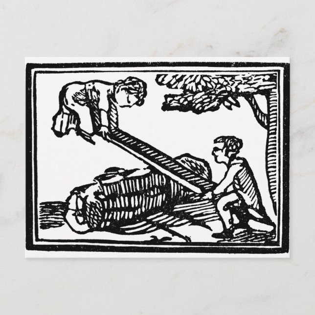 Seesaw Postcard (Front)