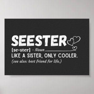 Seester definition poster