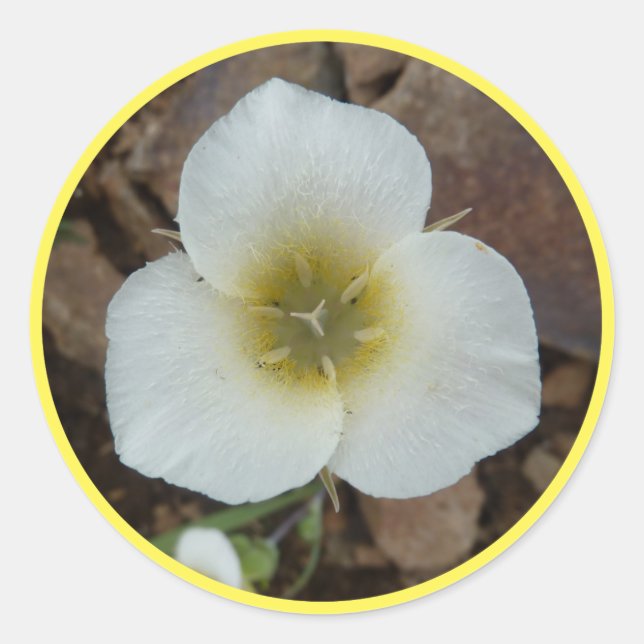 Sego Lily Classic Round Sticker (Front)