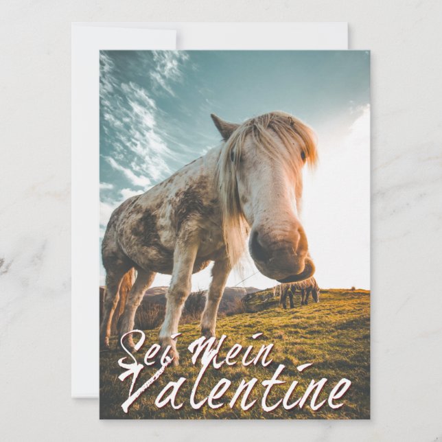 Sei mein Valentin mit schauenden Pferd  V2.0 (Front)