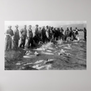 Seining Salmon in Astoria, OR Photograph Poster