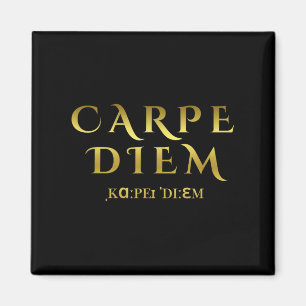 Seize Day Carpe Latin Diem Inspirational Quotes Magnet