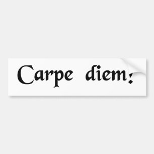 Seize the day. bumper sticker